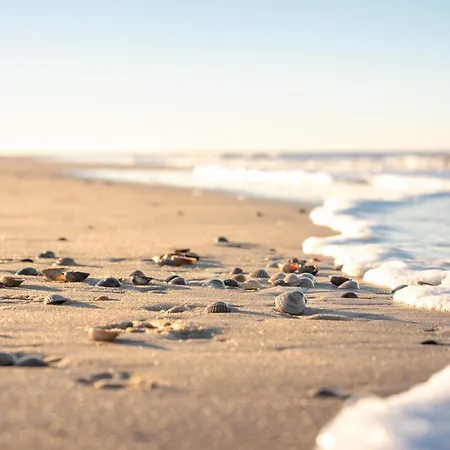 Arche Svea Bachstelze Apartament Spiekeroog