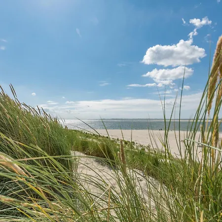 Apartament Arche Svea Bachstelze *