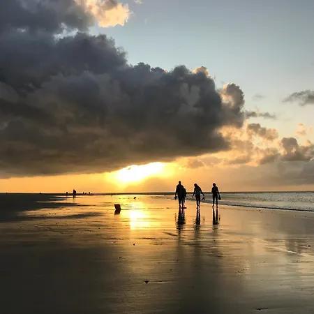 Arche Svea Bachstelze *