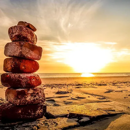 Arche Svea Bachstelze