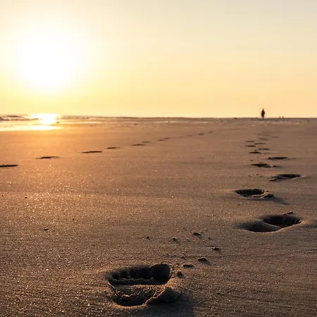 Arche Svea Bachstelze アパート *