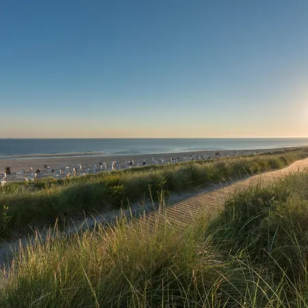 Arche Svea Bachstelze * Spiekeroog