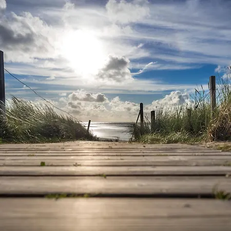 Arche Svea Bachstelze Spiekeroog
