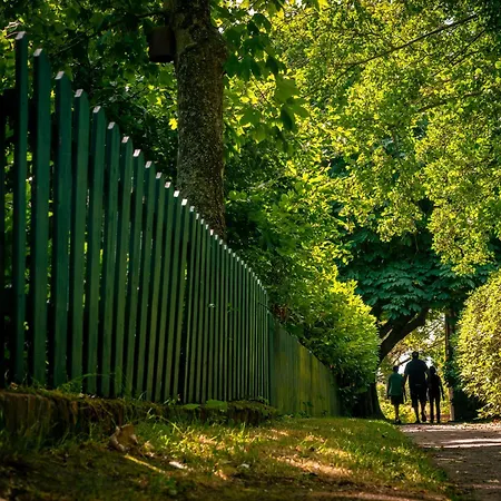 Arche Svea Bachstelze Apartament *