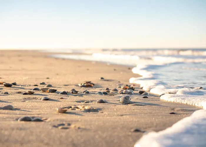 Arche Svea Bachstelze Апартаменты Шпикерог