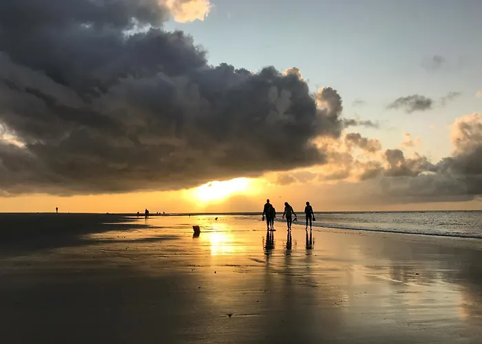 Arche Svea Bachstelze *