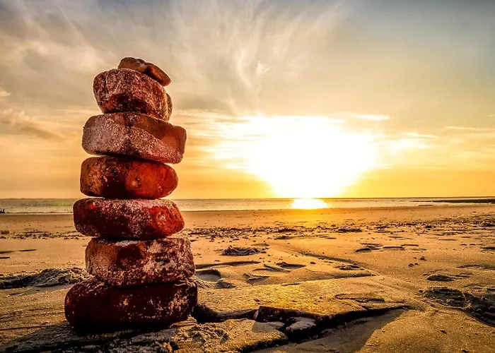 Arche Svea Bachstelze