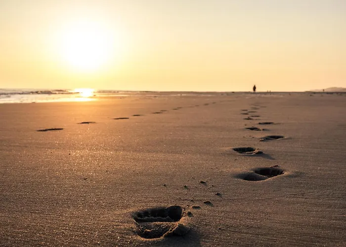 Arche Svea Bachstelze Апартаменты *